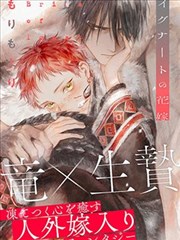 暗影系法师原型图鉴卡